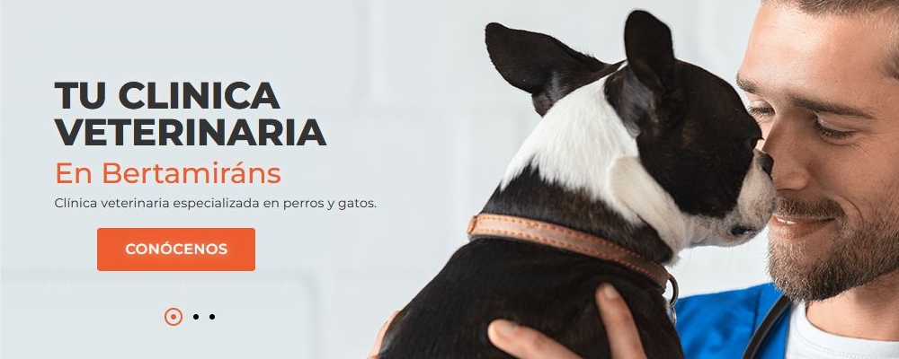 banner-0-CLINICA VETERINARIA SAUDEVET 