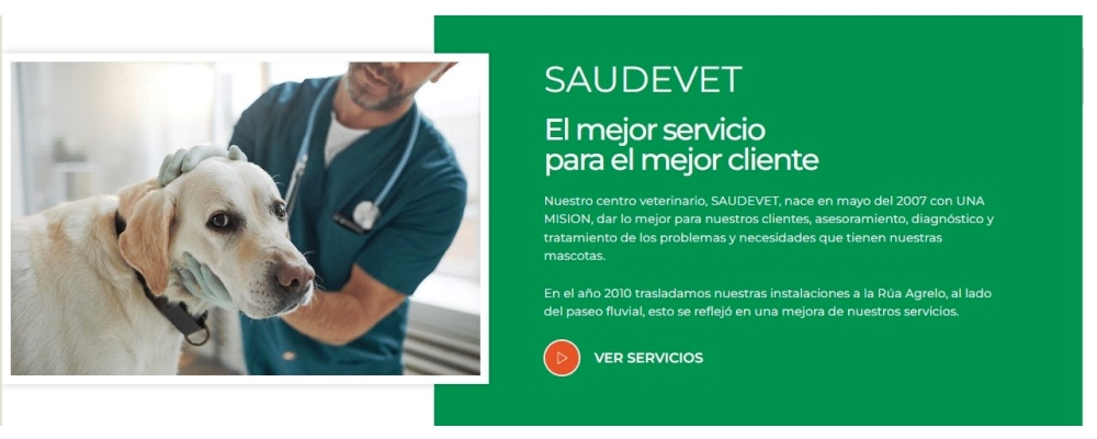 banner-2-CLINICA VETERINARIA SAUDEVET 