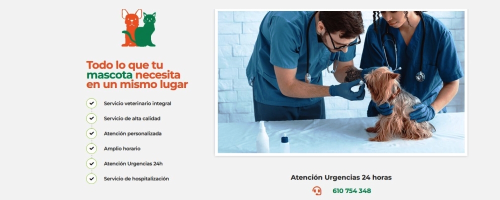banner-3-CLINICA VETERINARIA SAUDEVET 