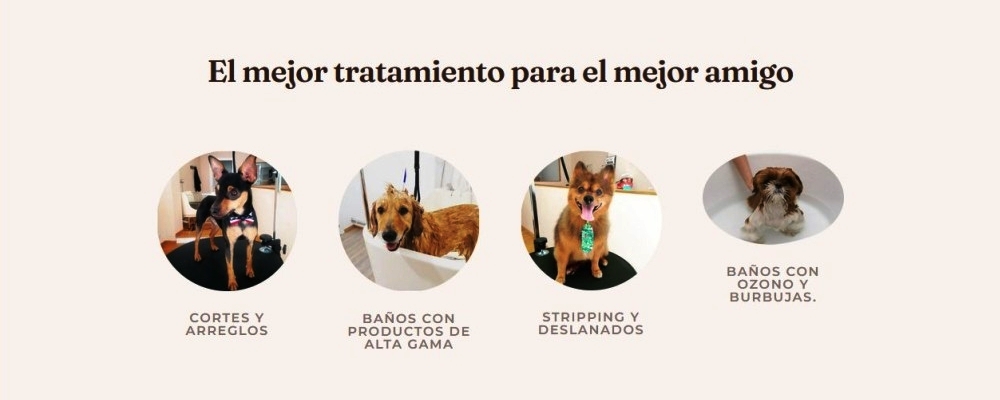 banner-0-VILLA PUPPY